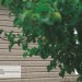 Сайдинг Ю-Пласт TIMBERBLOCK Пихта (Тимберблок) Cахалинская купить в Оренбурге