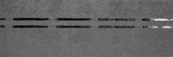 Коньково-карнизная черепица Docke Premium, черника купить в Оренбурге