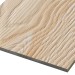 Фиброцементные панели FCSPRO Decor Wood Лиственница купить в Оренбурге